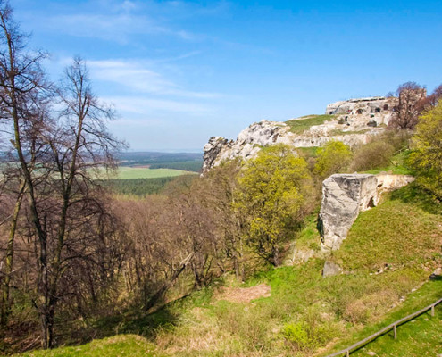 Blankenburg, Burg Regenstein