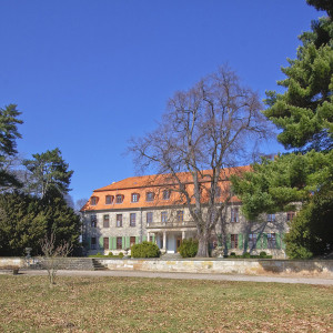 Langenstein, Schloss