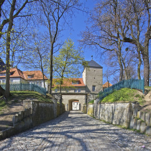Schöningen, Schloss