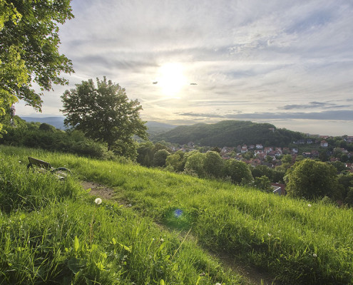 Landschaftsfotografie vom Hermann-Löns-Weg in Wernigerode mit Blick über die Stadt und zum Brocken während des Sonnenuntergangs.