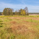 Wesendorf