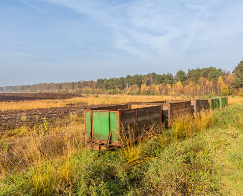 Westerbeck, Großes Moor