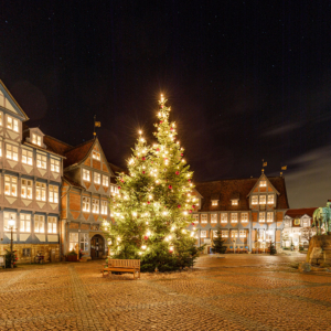 Weihnachtsbaum | Stadtmarkt Wolfenbüttel